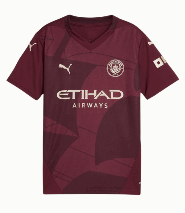 Manchester City Third 24/25 Treyja Barna
